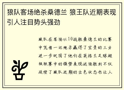 狼队客场绝杀桑德兰 狼王队近期表现引人注目势头强劲