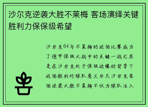 沙尔克逆袭大胜不莱梅 客场演绎关键胜利力保保级希望