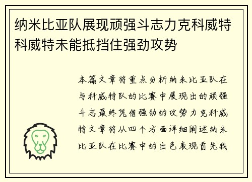 纳米比亚队展现顽强斗志力克科威特科威特未能抵挡住强劲攻势